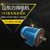YX3系列電機
