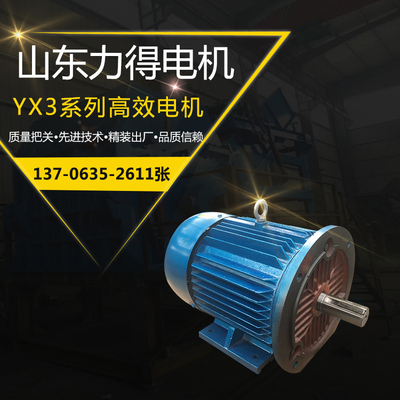 YX3系列電機(jī)